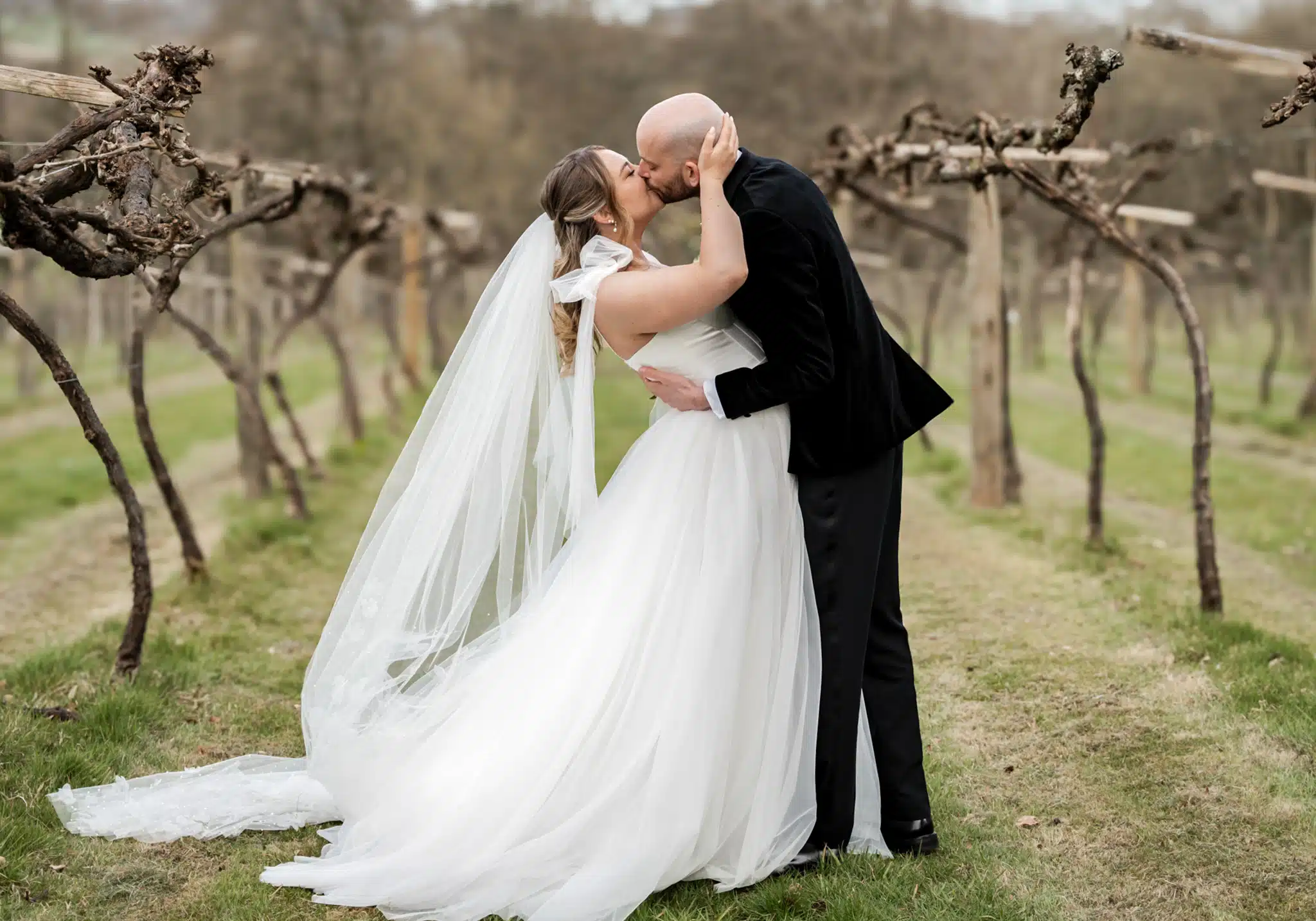 Bride and groom kissing in vinyard